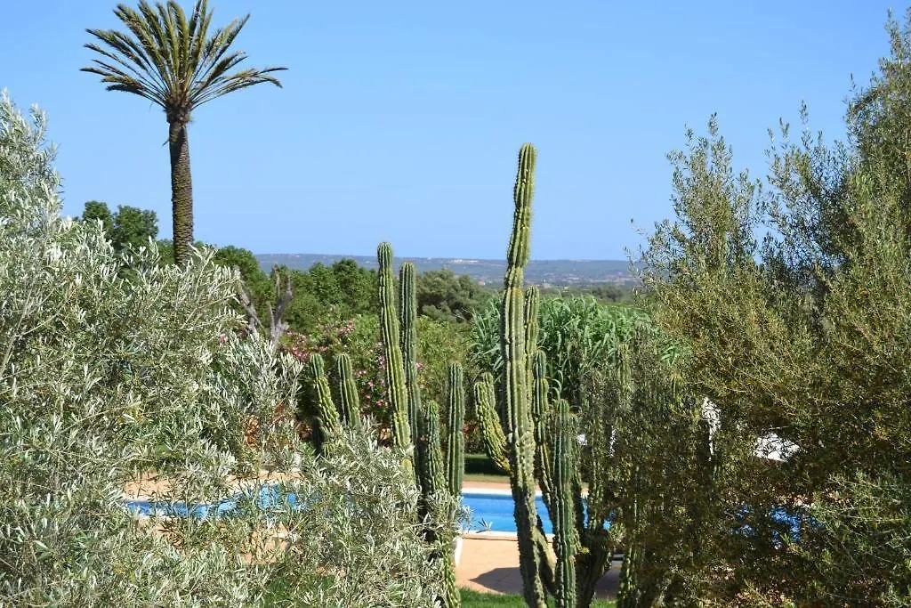 Country house Agroturismo Finca Son Sala Guest House Campos Spain