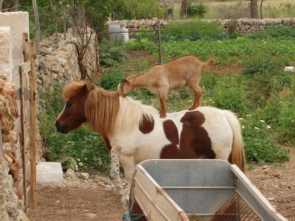 Agroturismo Finca Son Sala Guest House Campos Campos (Mallorca)