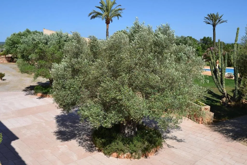 Country house Agroturismo Finca Son Sala Guest House Campos