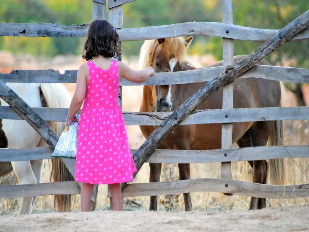 Country house Agroturismo Finca Son Sala Guest House Campos